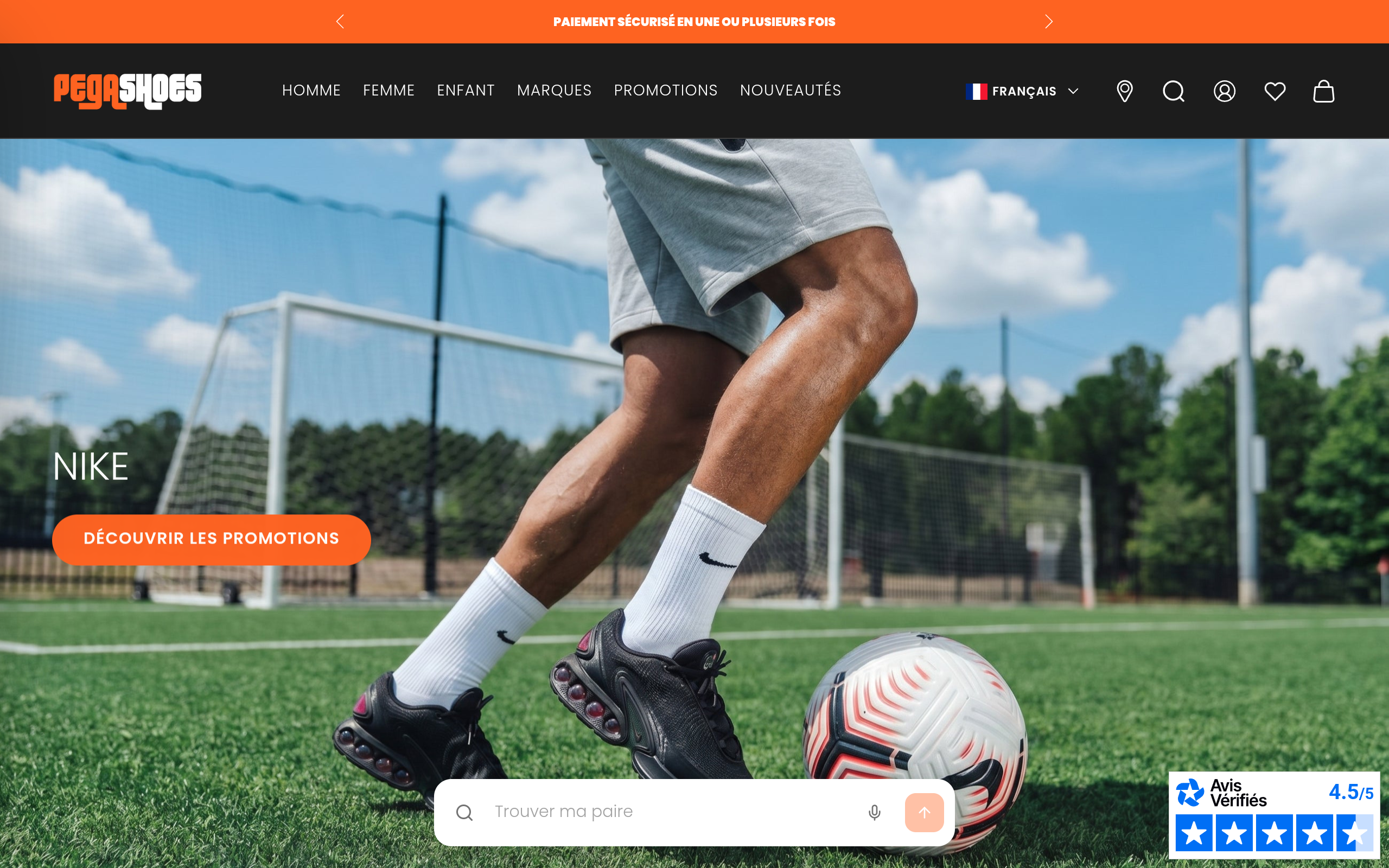 pegashoes : réalisation snazzy